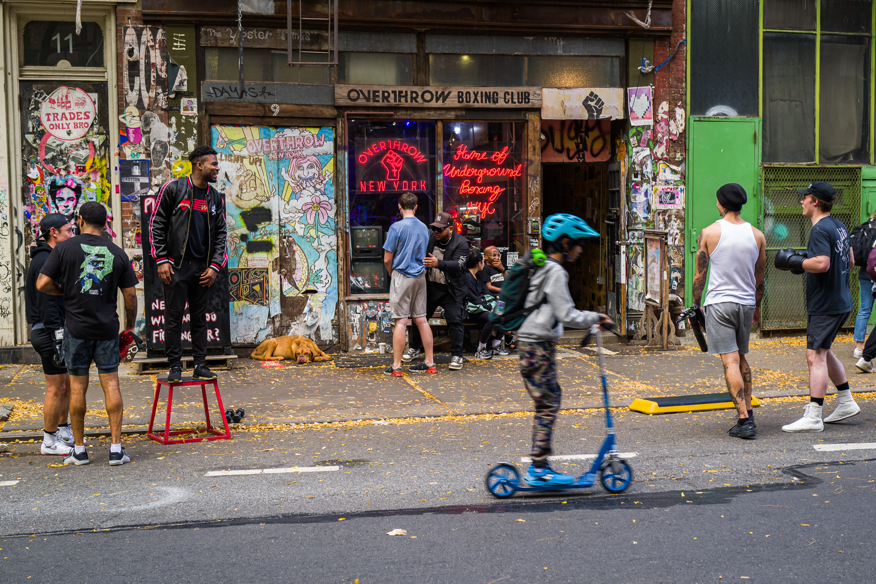 Overthrow, NYC